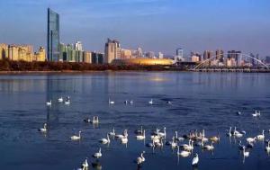 三門峽又一網(wǎng)紅景點(diǎn)，確定不來pick一下？